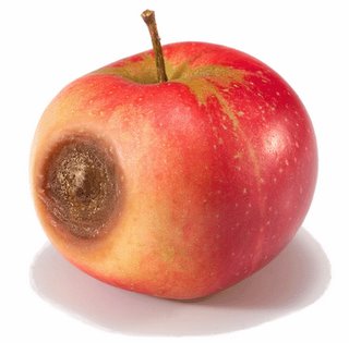 Resultado de imagen de manzanas podridas